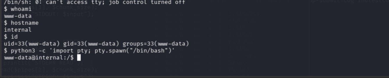 Shell stabilized with python3 pty and TERM=xterm set